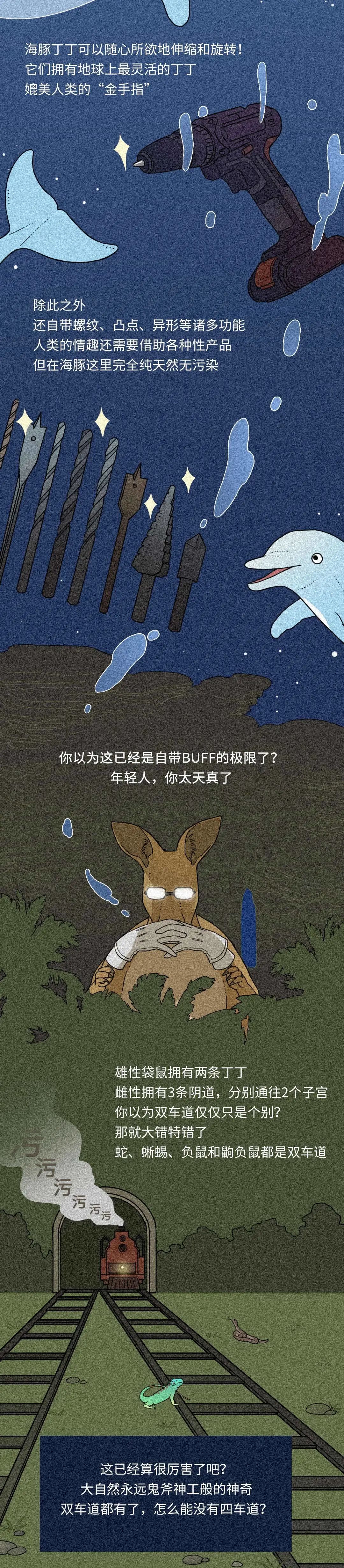 在性事上，人類差遠了！插圖1