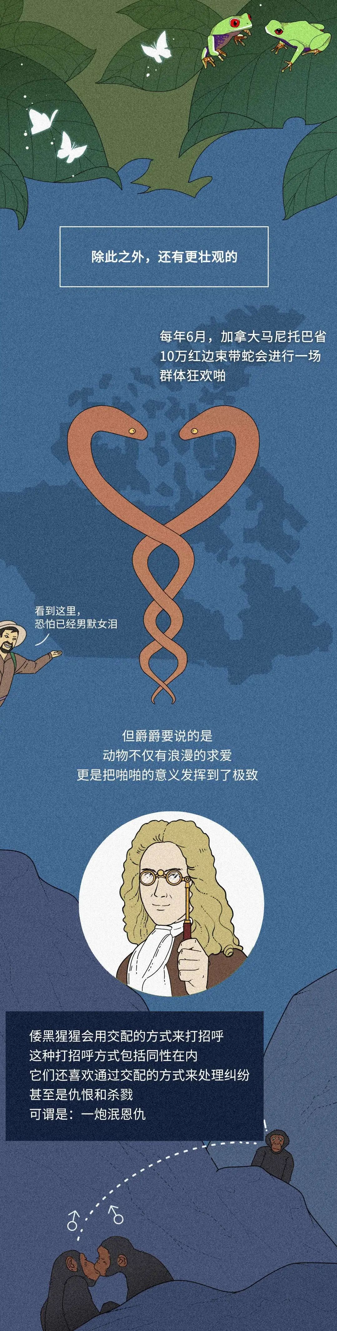在性事上，人類差遠了！插圖6