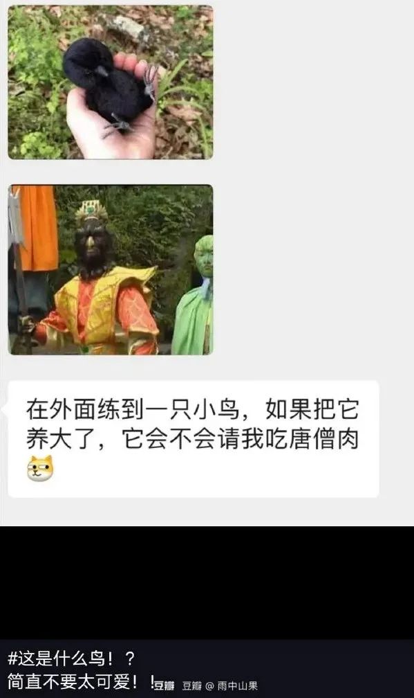 這敞篷跑車的馬力一定很足！插圖19