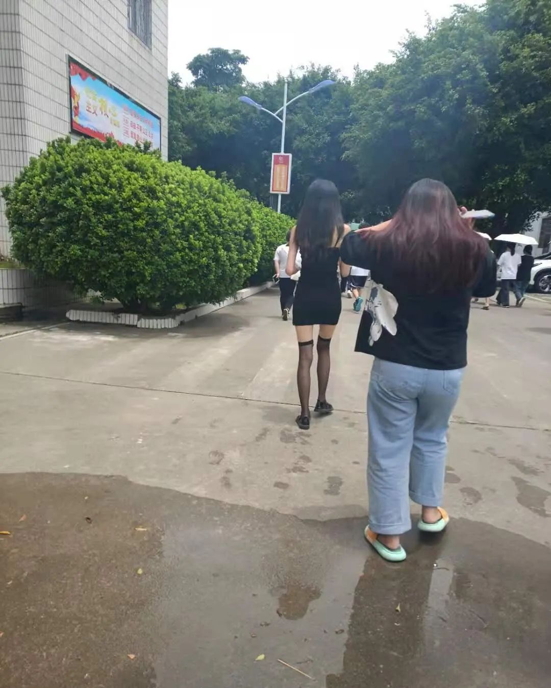 這么多老師有你認識的？插圖7