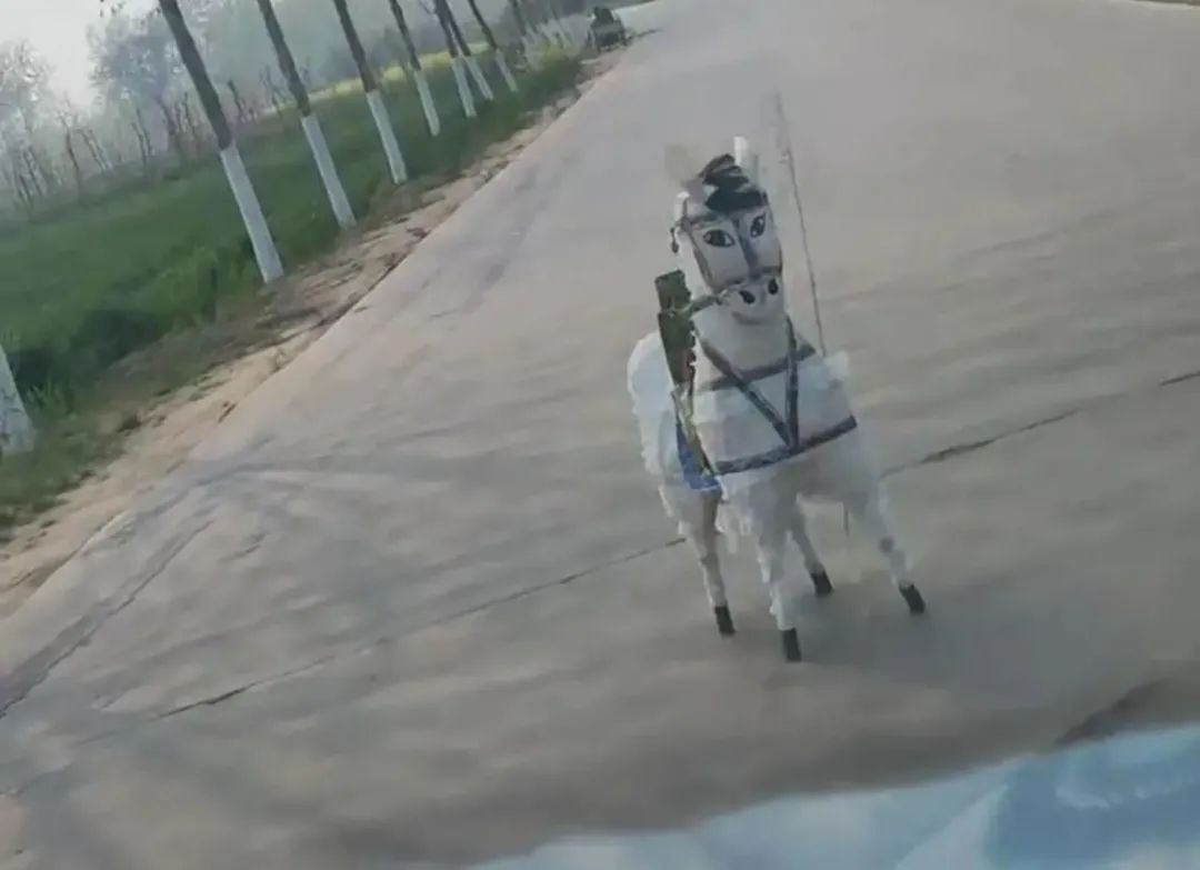 為什么長輩都想要胖胖的兒媳婦？插圖3