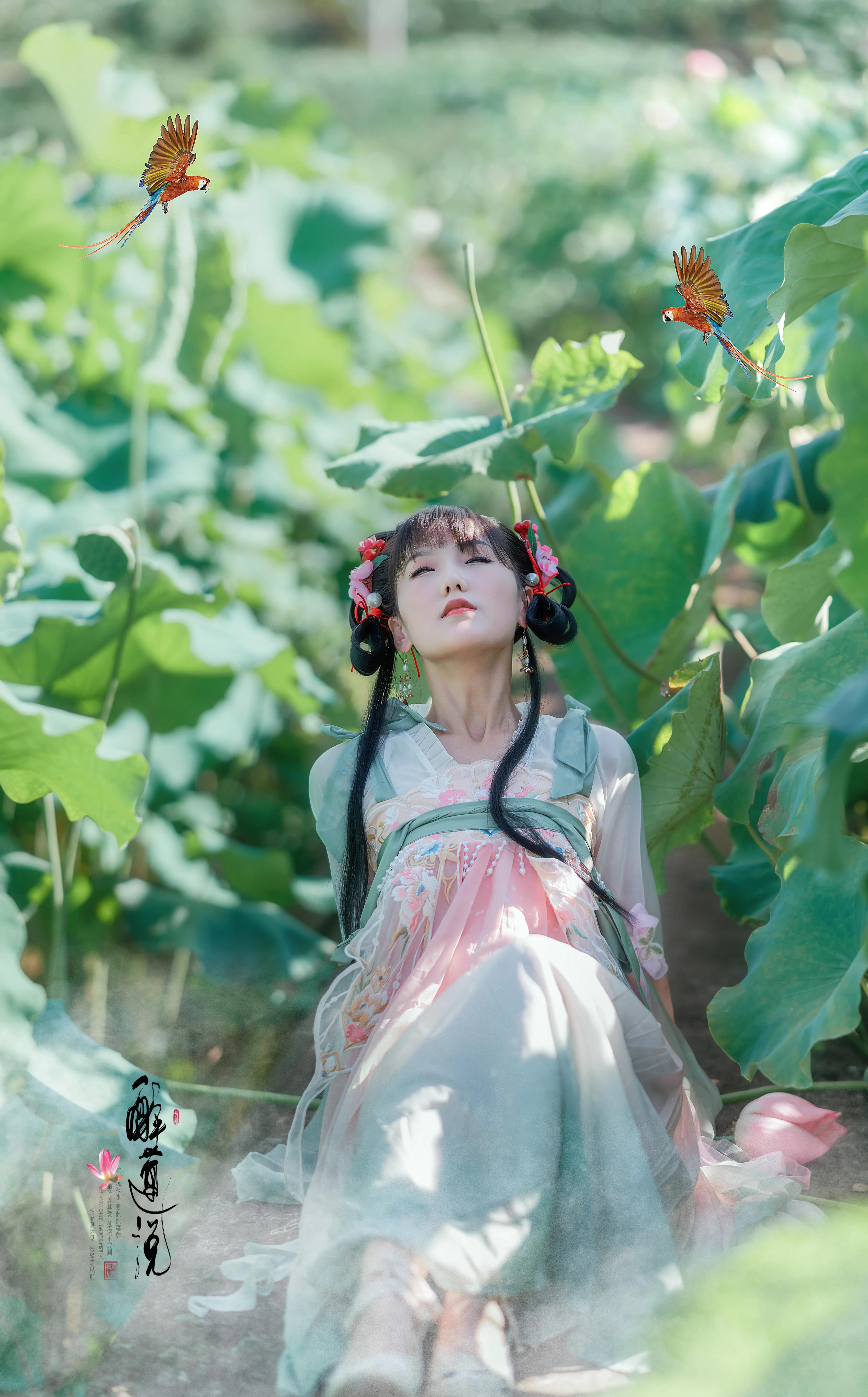 心醉迷，夢醉迷。葉鋪池，花開池。插圖7