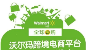 跨境電商沃爾瑪平臺-從0基礎到入門，沃爾瑪跨境紅利新玩法百度網盤插圖