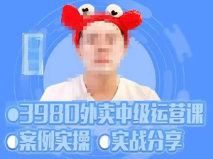 水獺會系統外賣運營＋招商方案，案例實操分享百度網盤插圖