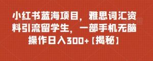 小紅書藍海項目雅思詞匯資料引流留學生，0門檻操作日入300百度網盤插圖